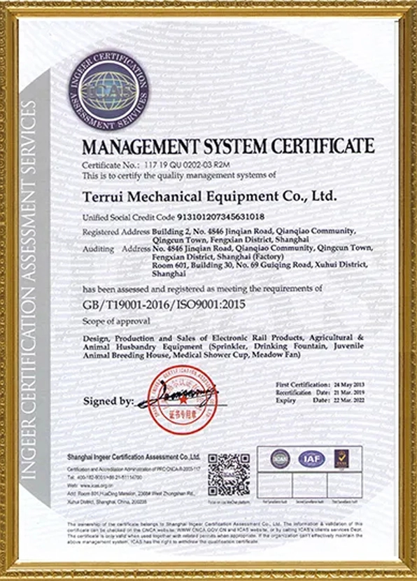 Management System Certificate