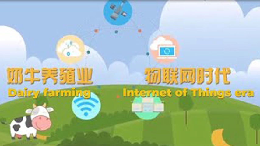 Terui Internet of Things + AI Ranch Software System
