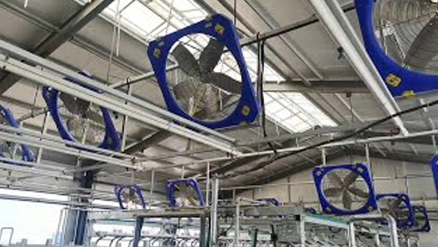 Livestock Fans 1.2m Circulating Fans Effective Heat Dissipation