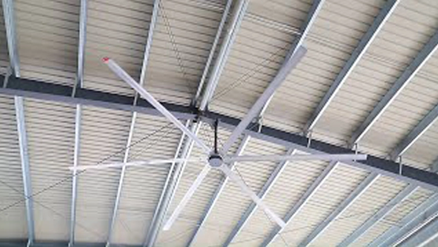 Big HVLS PMSM Motor Animal Husbandry Industrial Ceiling Fan