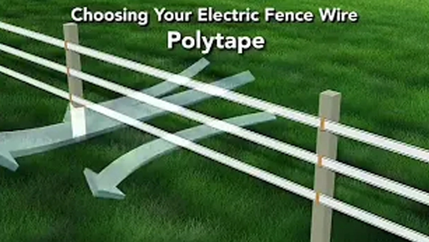 High Tension Cattle Horse Sheep Fence and Security Farm Fence Rope Tape Electric Fence Polywire