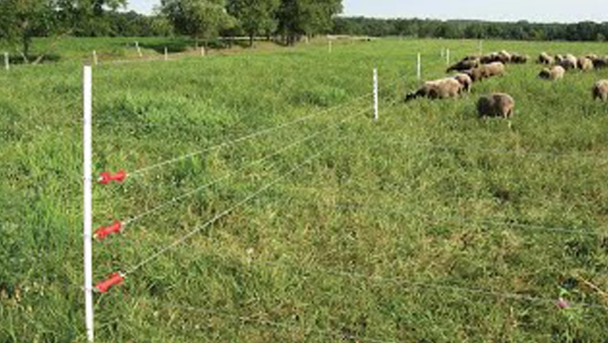 Electric Fence Plastic Post Farm Fencing Step-in Fence Post
