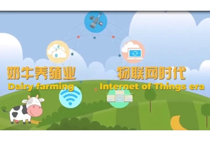Terrui Internet of Things + AI Ranch Software System