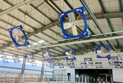 Industrial Fan Supplier Livestock Poultry Cooling Fan with EC Motor Wholesale Manufacture Terrui