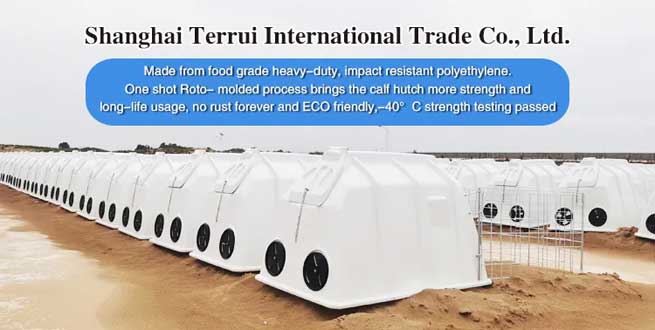 Keep Your Calves Safe and Healthy with Terrui's Calf Pens and Hutches