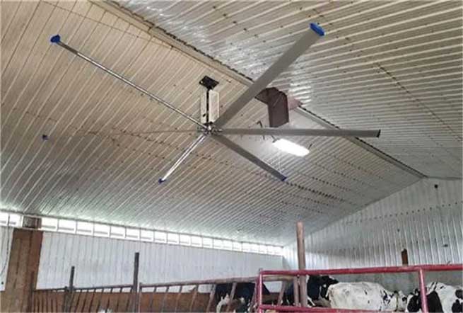 What is Large HVLS Industrial Fan Factory Livestock Fan? | Terrui