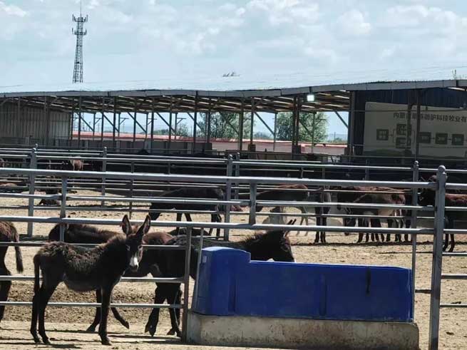 Which Pastures are Heated and Insulated Water Sinks Suitable for?