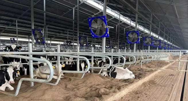 Industrial Fan Supplier Livestock Poultry Cooling Fan with EC Motor Wholesale Manufacture Terrui