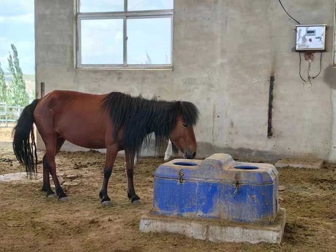 Which Pastures are Heated and Insulated Water Sinks Suitable for?