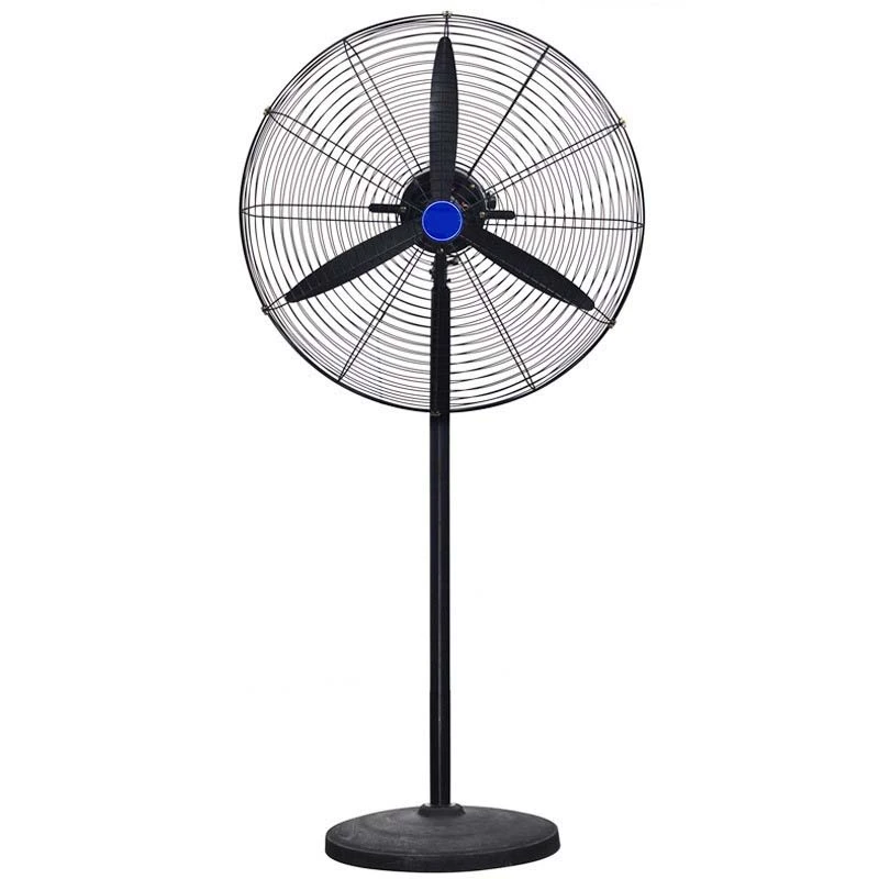 Stand Up Circulating Fan