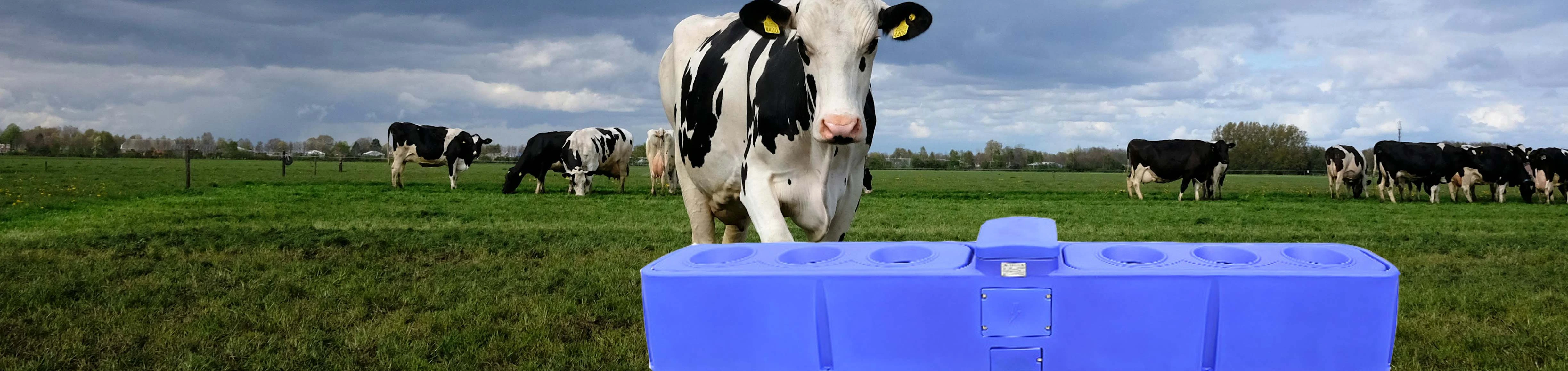 Livestock Waterer