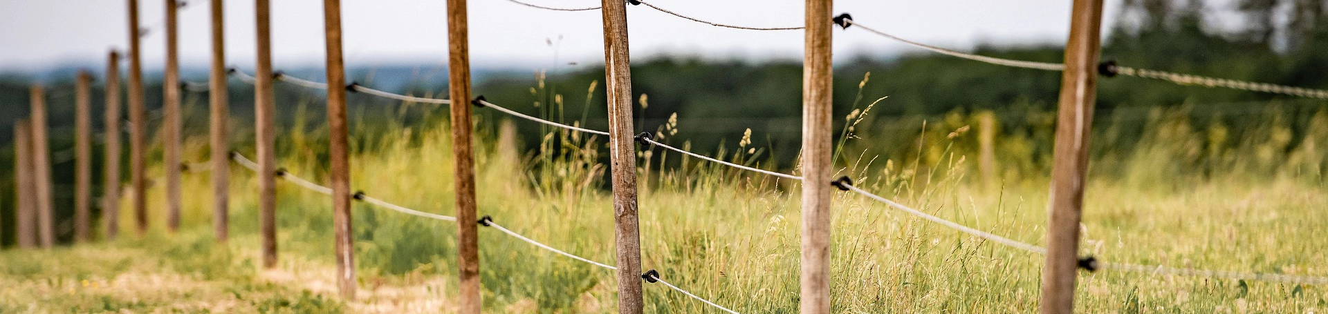 Electric Fence Post