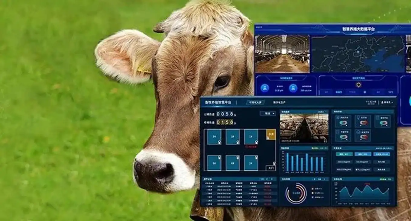 IoT Intelligent Ranch