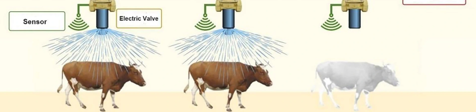 Dairy Cow Cooling System