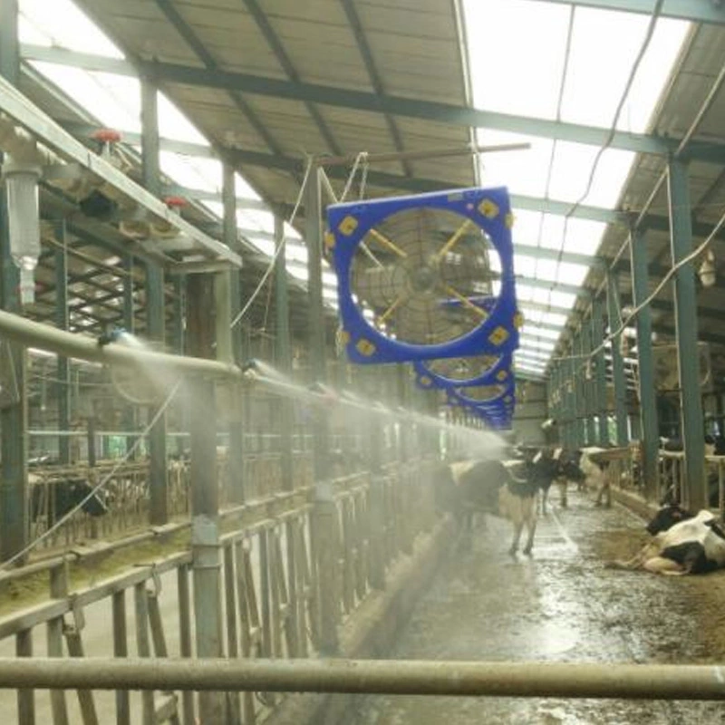 Terrui Dairy Visual Soaking System