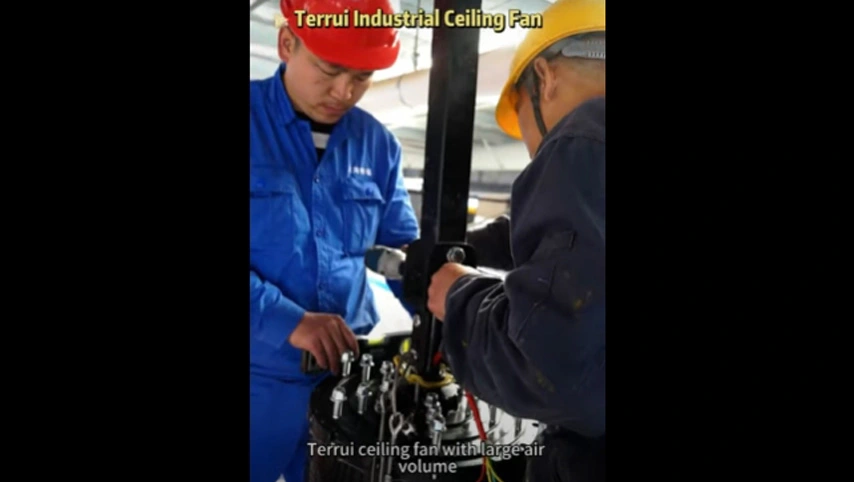 Terrui industrial ceiling Fan