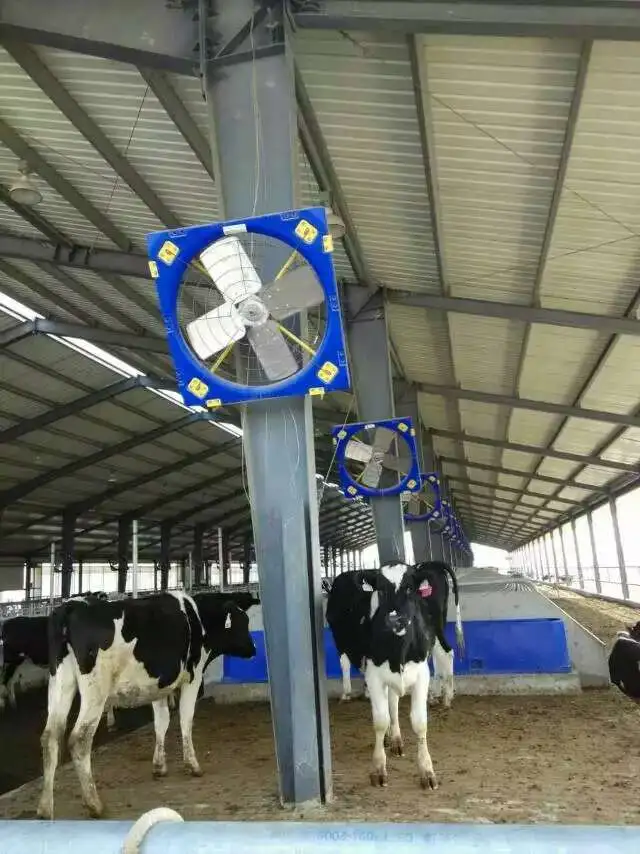 Key Considerations for Selecting Ventilation Fans