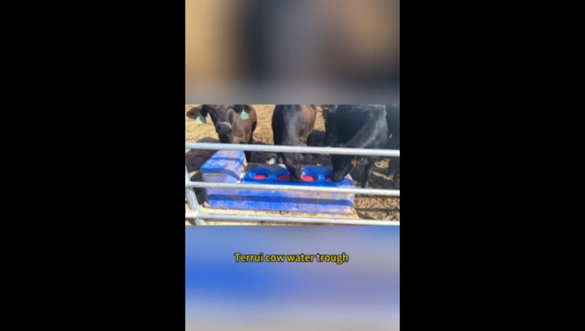 Cattle Water Trough