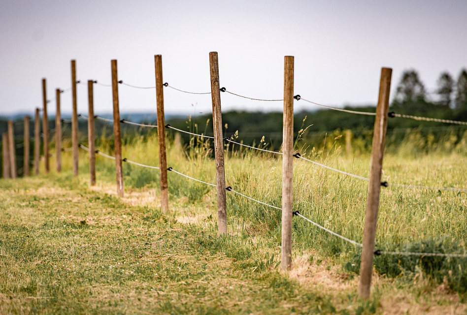 Terrui Farming Electric Fence: An Ideal Choice for Revolutionizing Ranch Management
