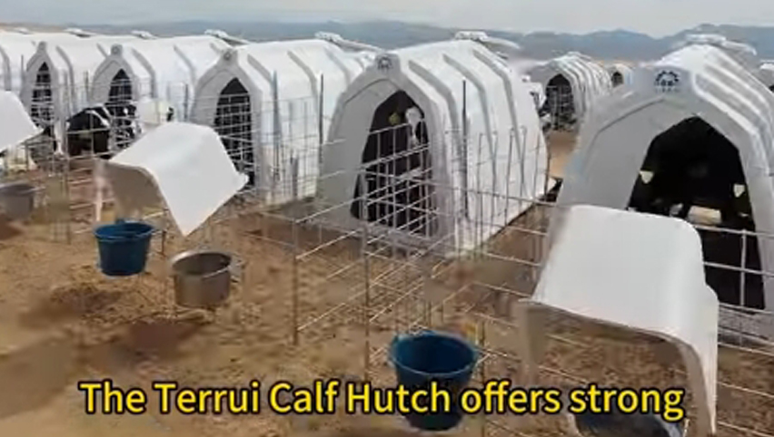 calf hutch