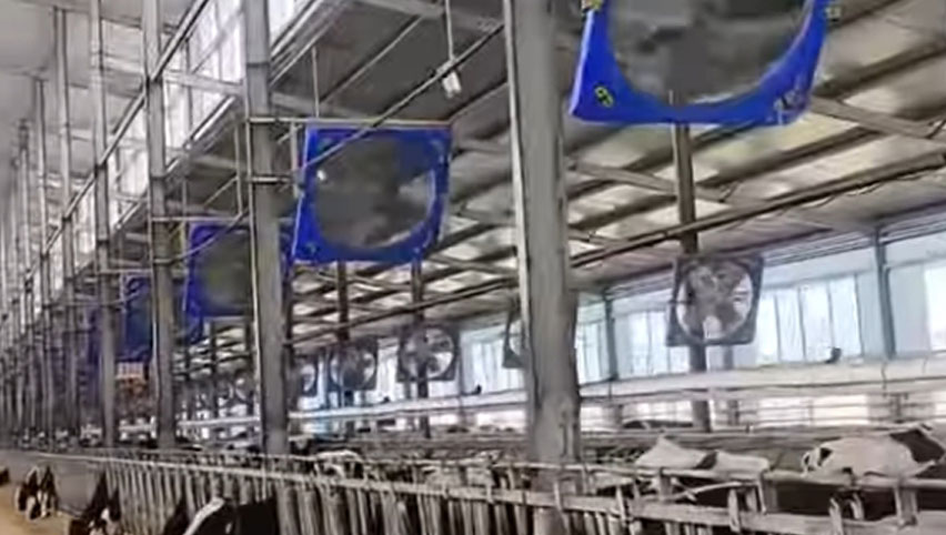 38 Inch Circulation Fans