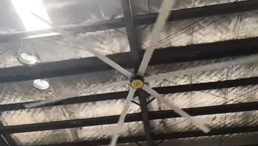 Hvls Ceiling Fan