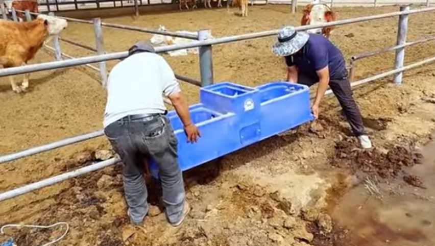 Terrui Water Trough