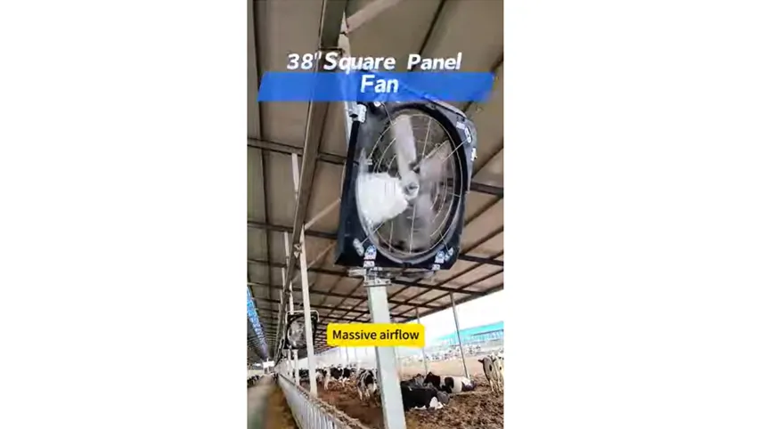 Video Showcase of 38''Square Panel Fan