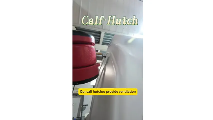 Video Showcase of Calf Hutch