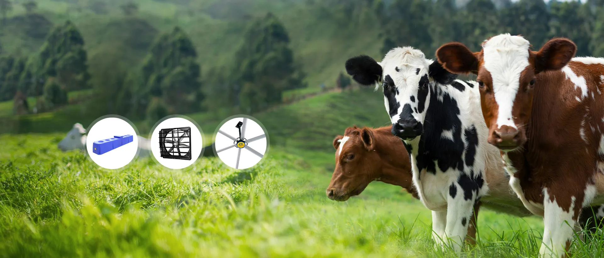 Experience Unmatched Quality with Terrui Livestock Equipment