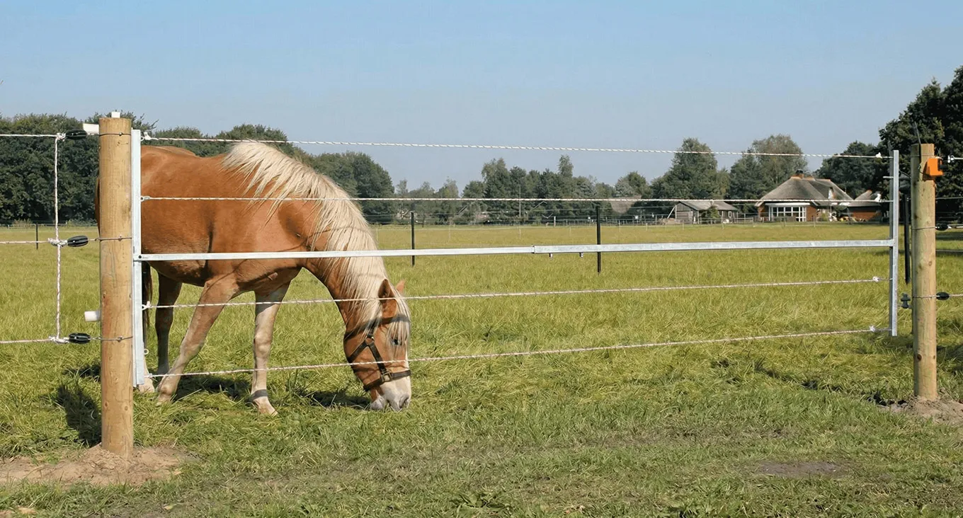 Electric Fence System