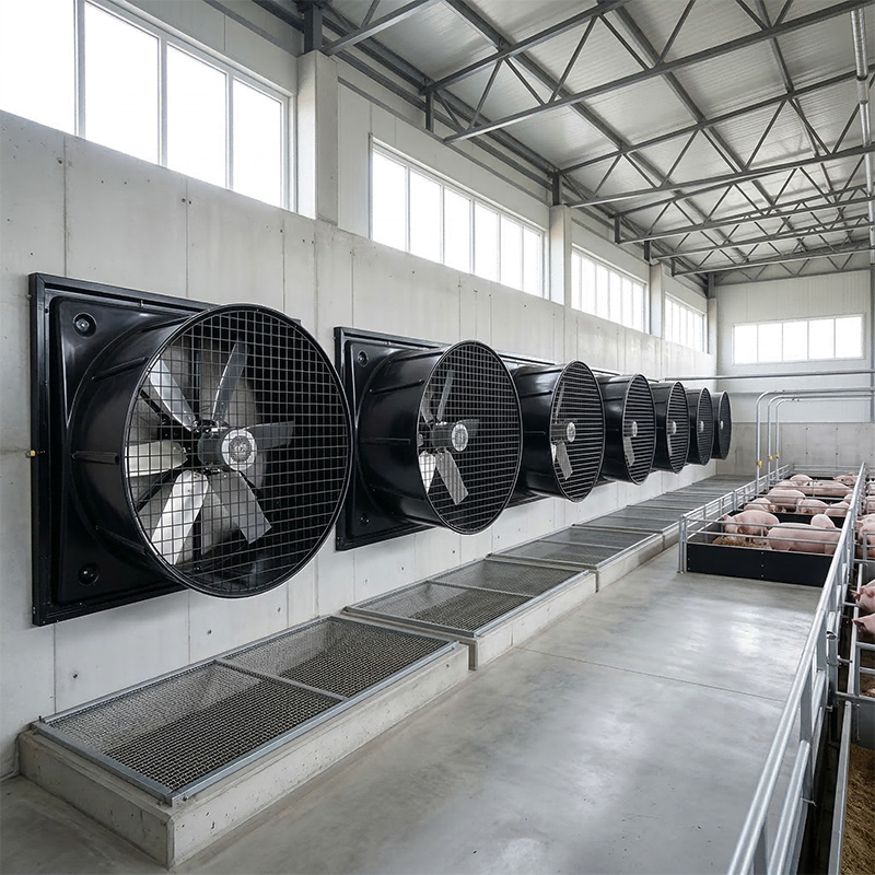 Terrui_High-Capacity_Industrial_EC_Exhaust_Fan_installed_in_a_clean_modern_barn_for_cow_ventilation.jpg