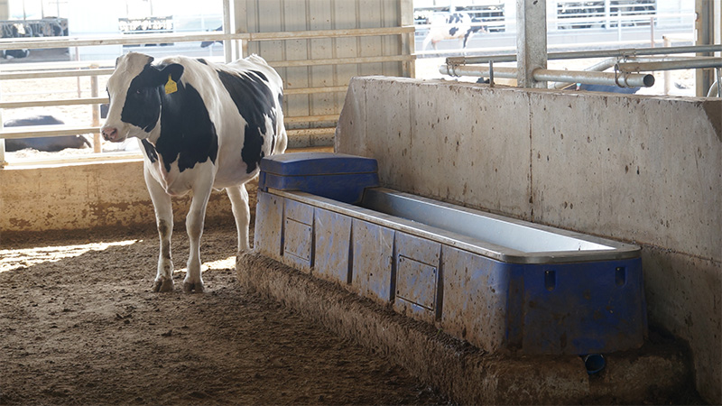 Impact-resistant_polyethylene_cow_automatic_drinker_with_offset_feet_design_for_stable_barn_installation.jpg Impact-resistant_polyethylene_cow_automatic_drinker_with_offset_feet_design_for_stable_barn_installation.jpg