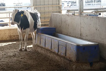 Optimizing Ranch ROI: Spatial Ergonomics and the Operational Benefits of Professional Hydration Systems