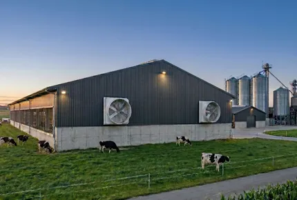 Dairy