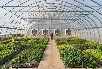 Greenhouse