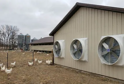 Poultry