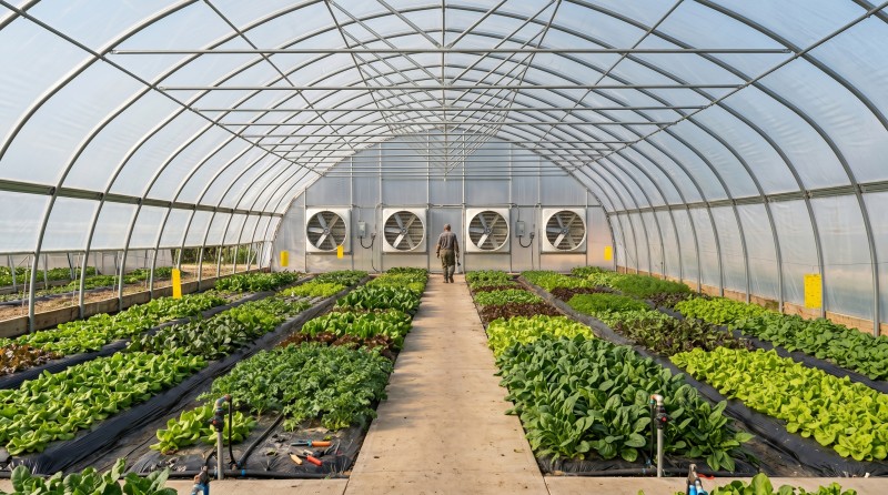 greenhouse_exhaust_fan.jpg