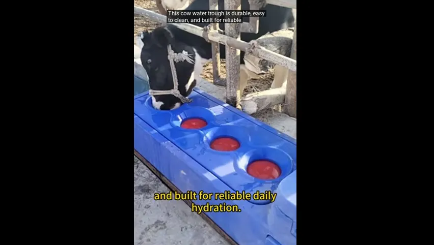 Automatic Cow Drinker