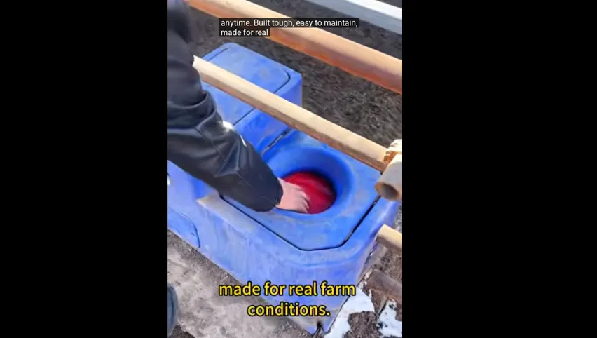 Automatic Drinker for Cows