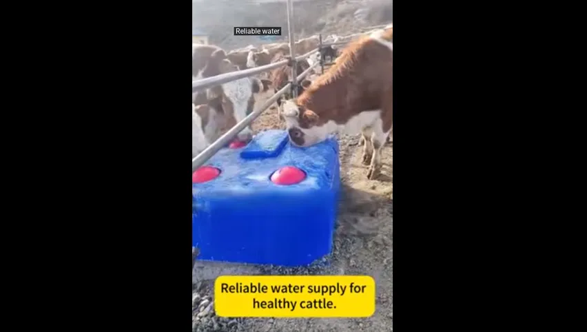 Cattle Drinking Bowls