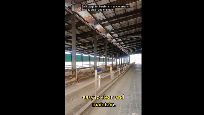 Cow Water Drinker