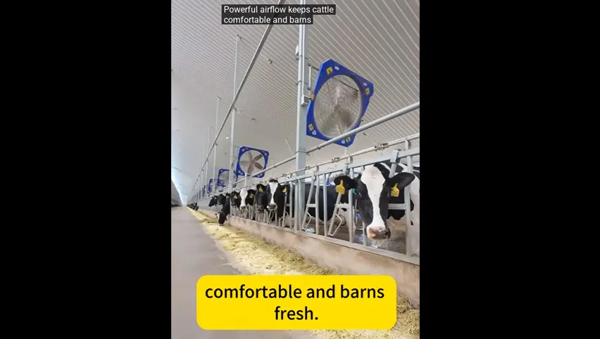 Drinking Bowls for Cattle
