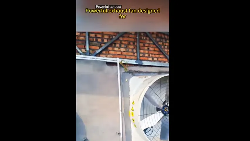 Exhaust Fan for Sale