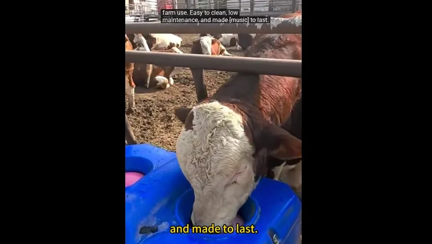 Poultry Cooling Fan