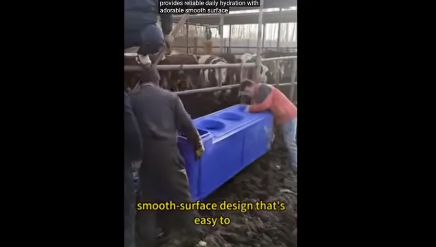 Poultry Farm Cooling Fan