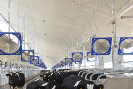 Farewell to Belt Maintenance: Why Modern Ranches Prefer EC Direct-Drive Circulation Fans in 2026?