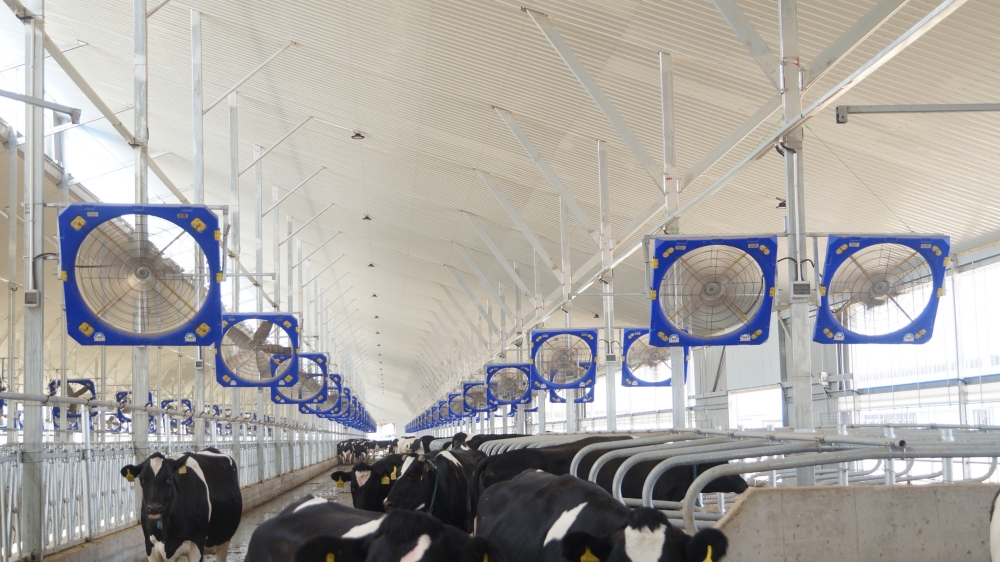 Terrui 1.2m Circulation Fan 2026 model for cattle pig sheep and horse farms with EC motor Terrui 1.2m Circulation Fan 2026 model for cattle pig sheep and horse farms with EC motor