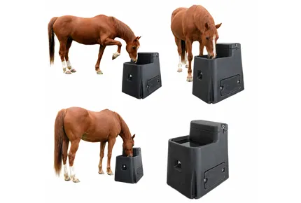Horses Water Trough: Preventing Winter Equine Colic