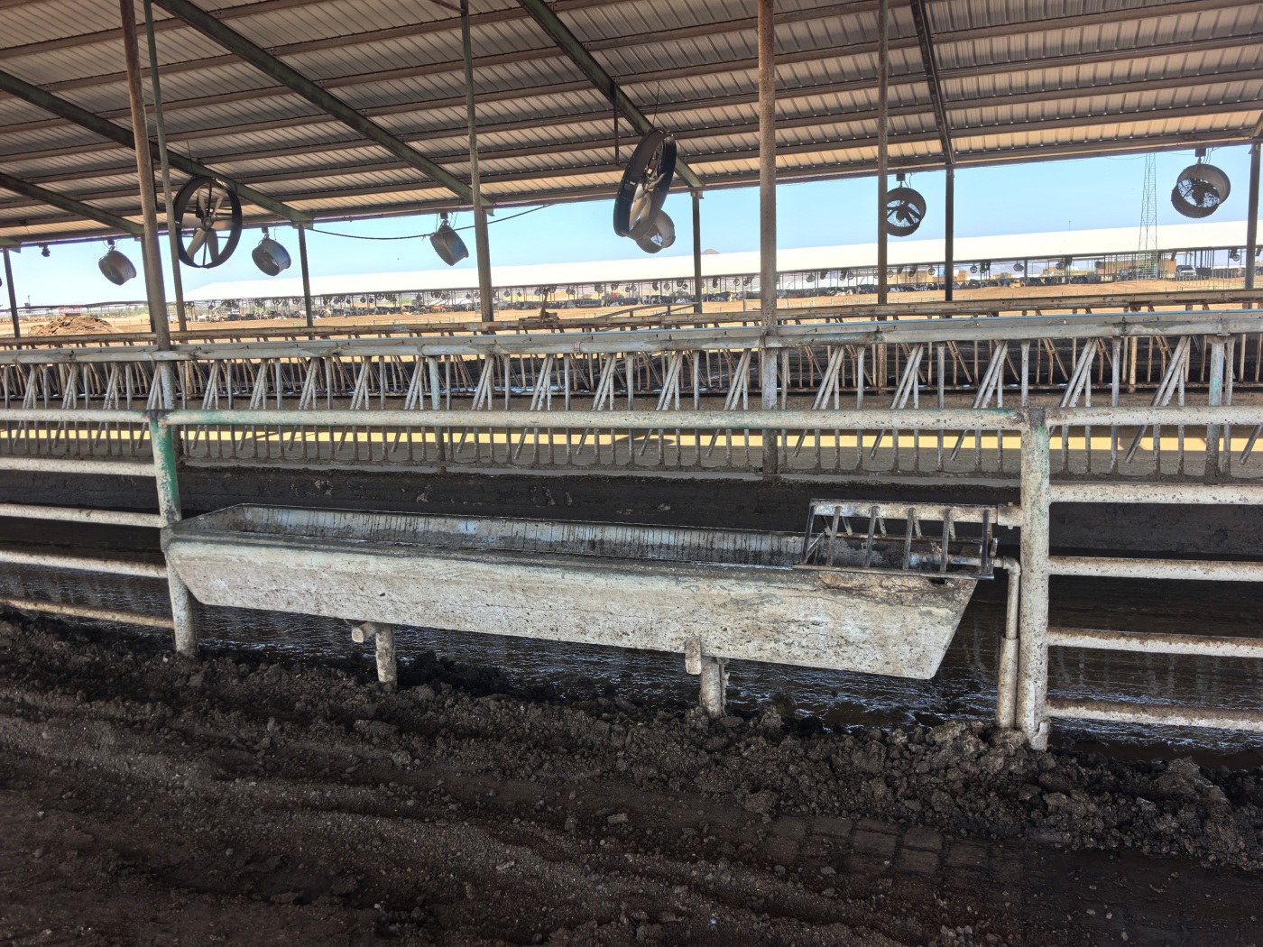 Terrui 72-inch circulation fan with 2.0kW 254 motor for 12-meter air velocity coverage in dairy barn layouts. Terrui 72-inch circulation fan with 2.0kW 254 motor for 12-meter air velocity coverage in dairy barn layouts.